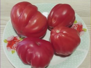 Томаты Польской селекции.  Новинки 2025 гола. Часть 2