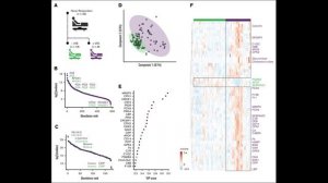 Тромбовоспаление - тихий убийца после тяжелых травм
