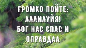 Братья все ликуйте - минус мой 1