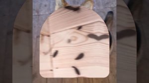 1000040589.mp4 (Собака смотрит на монтаж электропроводки (распайку р/коробок) в доме А-фрейм)