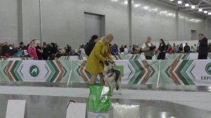 Моншер Вирсаль Югория