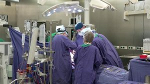 Всероссийский съезд сердечно-сосудистых хирургов проходит в центре им. А.Н.Бакулева