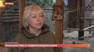 Ростов сегодня: вечерний выпуск. 19 ноября 2025