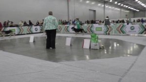 Сравнение класса юниоров