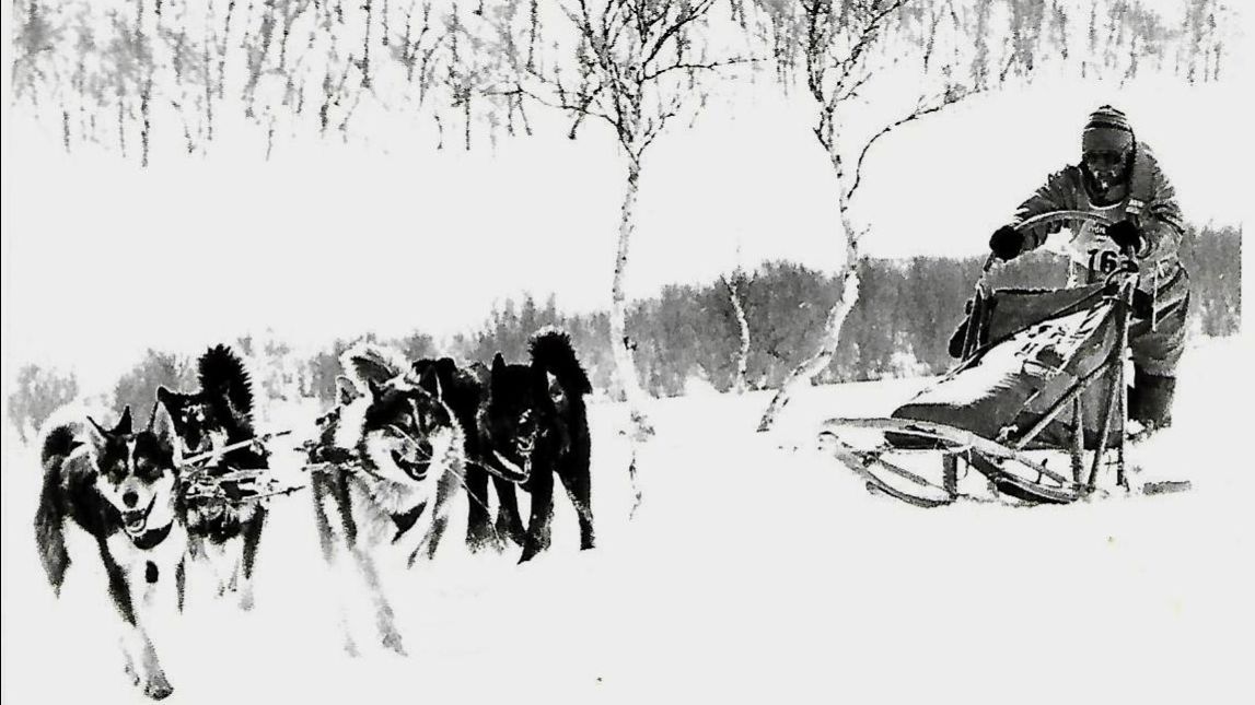 1994 год. Гонка на собаках "Берингия".  Налычевская долина - речка Седловинка.