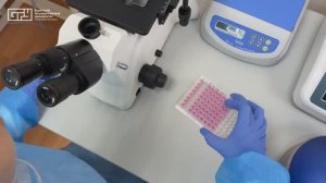 Заглянули в лабораторию регенеративной биомедицины БГУ