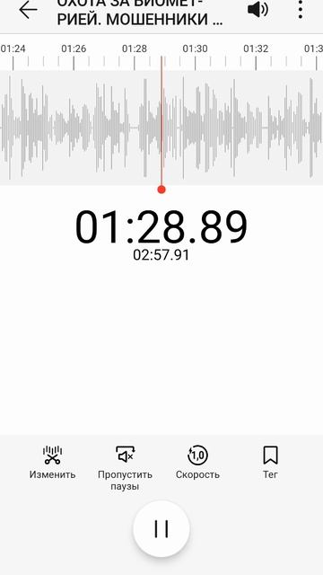 ПСИТЕРРОР. ОХОТА ЗА БИОМЕТРИЕЙ. МОШЕННИКИ. .mp4 смотреть онлайн