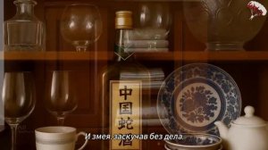 М. Матрасова — Особый случай