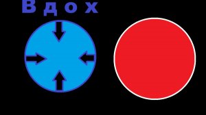 Тренировка и ОЧИЩЕНИЕ капилляров кровеносных сосудов!