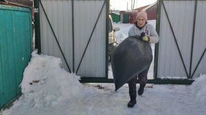 Поездка за опилками. Переполох в курятнике. Дневник за 19 ноября 2025 год