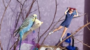 Забавные мальчишки