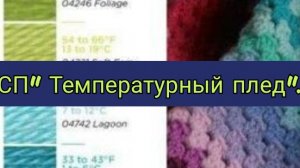 СП" Температурный плед" с Катериной  2026/Вступление