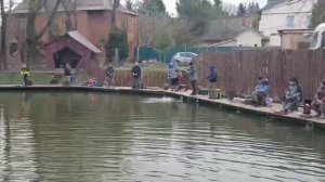 Второе зарыбление и активные поимки форели продолжаются.