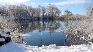 Накатила грусть... Первый снег.