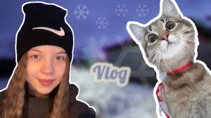 Vlog / Первый снег❄️ / Распаковка с WB ☺️ / Привезли дрова🪵