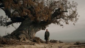 Дуб (Аллегория).