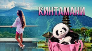 Горячие источники в жерле вулкана Батур на Бали|Кинтамани, ритуал очищения в Убуде и панда Майонез🐼