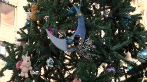 Область говорит №223