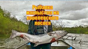 Полуостров Камчатка, Россия Рыбалка нахлыстом на королевского лосося