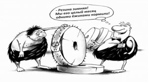 Покупка новой зимней резины 2025-11-18 00-10-23