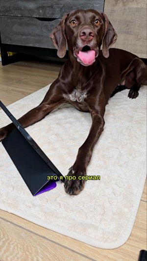 Интересное в описании🤗