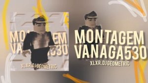 MONTAGEM VANAGA530 (LYRICS)