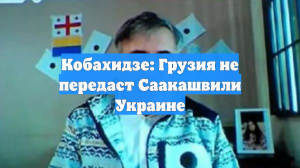 Кобахидзе: Грузия не передаст Саакашвили Украине