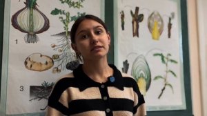 С праздником, дорогие преподаватели!