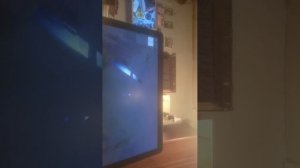 дома у бабушки