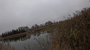 Микроджиг: в поисках легендарного окуня