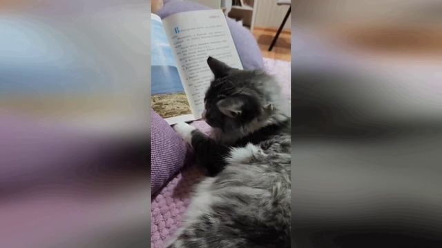 Мечты сбываются...