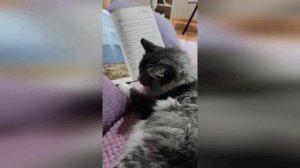 Мечты сбываются...