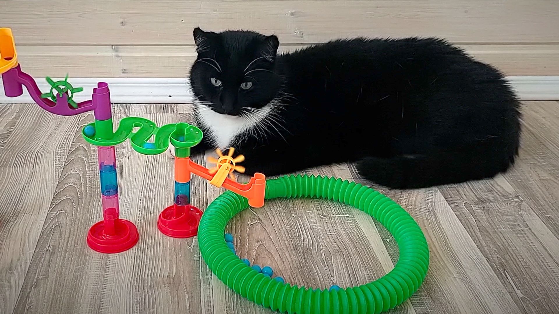 АСМР залипалки Очень ленивый кот и Лабиринты для шариков марблс