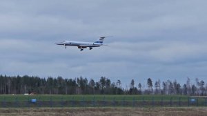 Длинногосец)