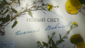 «Новый Свет. Николай Вавилов».