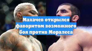 Махачев открылся фаворитом возможного боя против Моралеса
