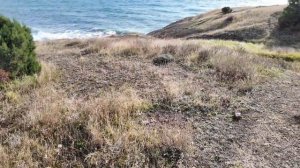 КРЫМ - НОВАЯ НАБЕРЕЖНАЯ ГОД СПУСТЯ. ЧТО С НЕЙ СЛУЧИЛОСЬ. ПОКАЗЫВАЮ ВСЮ ПРАВДУ. ЯЗЫК ТРОЛЛЯ В КРЫМУ.