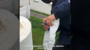 Владимир утепляется к зиме! 🌨