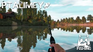 Очередная попытка поймать трофа на р. Белая🐟Русская рыбалка 4🐬Russian Fishing 4