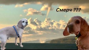 Моя поездка к морю Черному в непогоду в ноябре Поселок Лермонтово