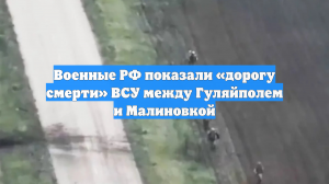 Военные РФ показали «дорогу смерти» ВСУ между Гуляйполем и Малиновкой