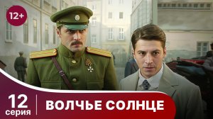Волчье Солнце. Серия 12. Военный шпионский боевик. Сериал.