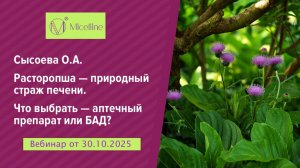 Расторопша - природный страж печени. Что выбрать — аптечный препарат или БАД? Вебинар от 30.10.2025