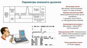 Лекция 11. Нормальная физиология для ИКМ и ИМД. Дыхание. Часть 1. Бабкина И.И.