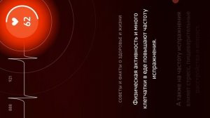 о кишечнике