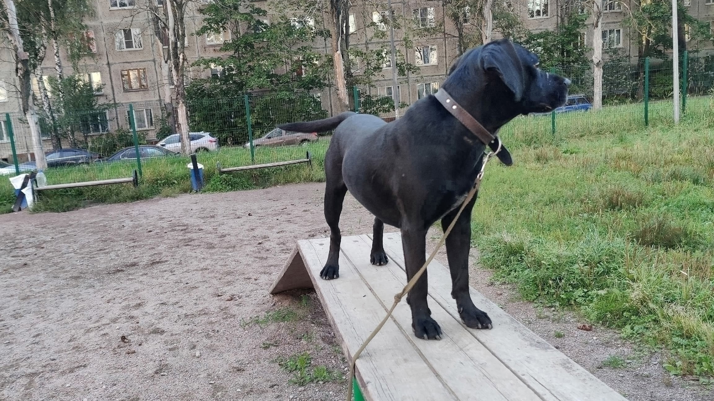 Моя Жизнь Кино @ На Буме @ Музей Псов смотреть онлайн