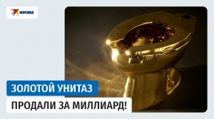 Золотой унитаз «Америка» весом в 100 кг продали на аукционе Sotheby's за миллиард