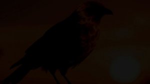 Просто уходило лето-COVER