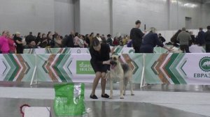 Русская Легенда Огненная Птица