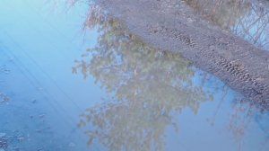 Утро после дождя